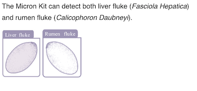 fluke results