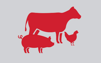 livestock icon