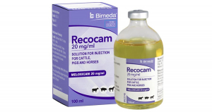 Recocam