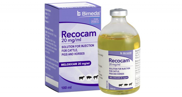 Recocam