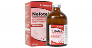 Nefotek