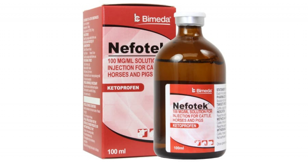 Nefotek